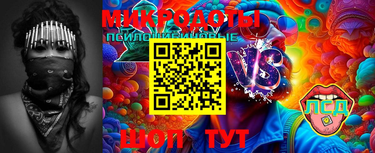 Улан-Удэ  Галлюциногенные грибы Psilocybe  Вход с VPN 