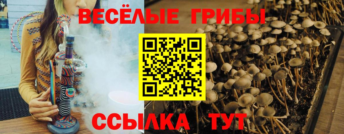 МЕФ   КОКАИН  НБОМе  Каннабис  Вход с VPN  Бошки Шишки  Улан-Удэ  ГАШ  МЕФ 